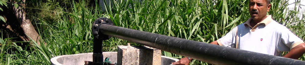 Slideshow Image 2